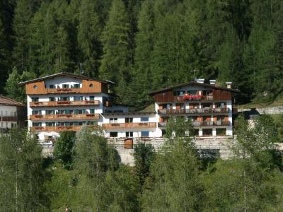 Hotel Des Alpes - Bild 2