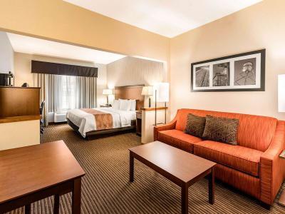 Hotel Quality Inn & Suites University - Bild 5