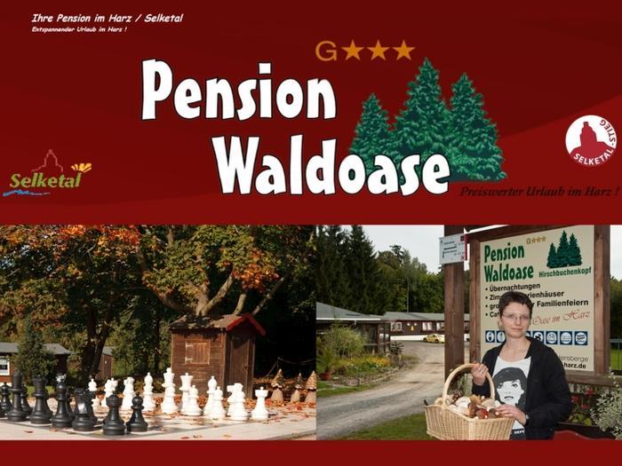 Pension Waldoase Hirschbuchenkopf - Bild 1