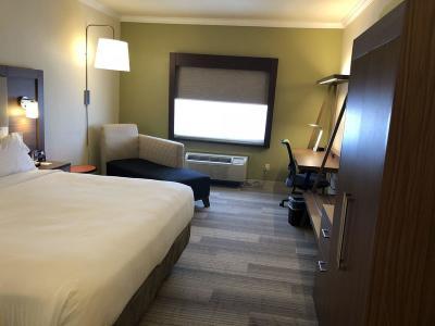Hotel Holiday Inn Express & Suites Greenville - Bild 5