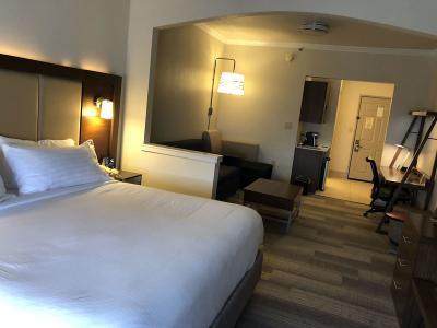 Hotel Holiday Inn Express & Suites Greenville - Bild 4