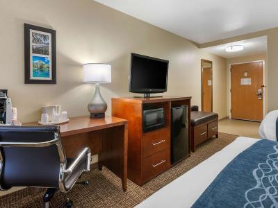 Hotel Comfort Inn Ocala Silver Springs - Bild 5