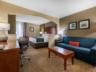 Hotel Comfort Inn Ocala Silver Springs - Bild 4