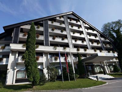 Garni Hotel Savica - Bild 5