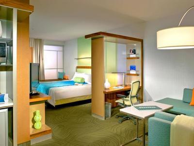 Hotel Springhill Suites by Marriott Orlando at Seaworld - Bild 2