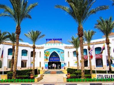 Hotel Viva Sharm - Bild 4