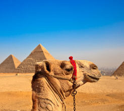 Foto Ägypten