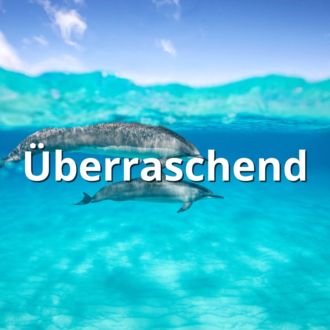 Teaser-undefined