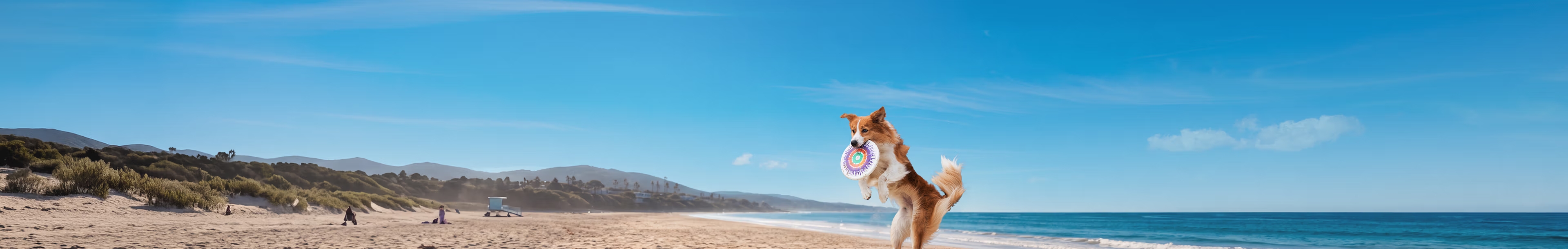 Urlaub mit Hund