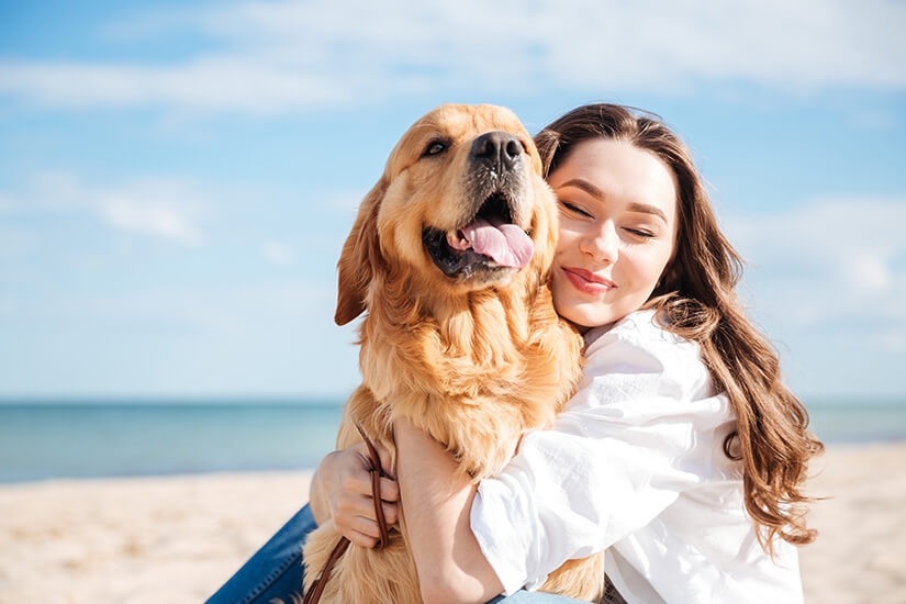 Teaser-Urlaub mit Hund