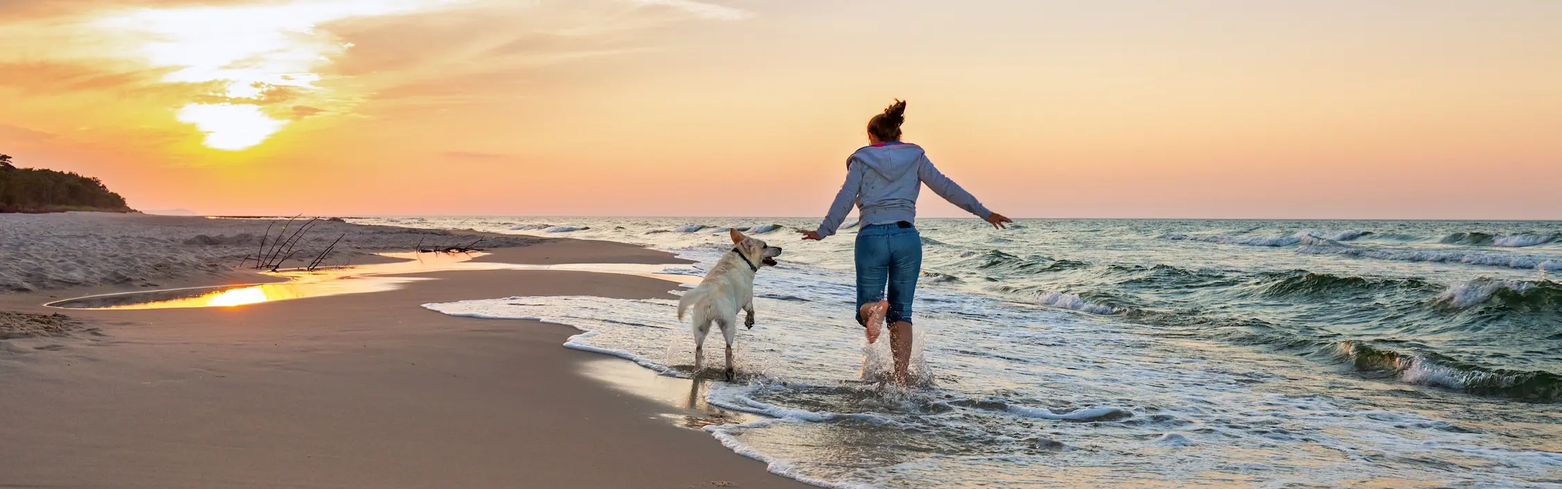 Frau läuft mit Hund durch niedrige Wellen am Strand. Am Horizont ein Sonnenuntergang.