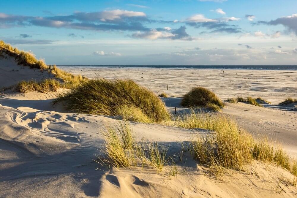 Teaser-Nordsee