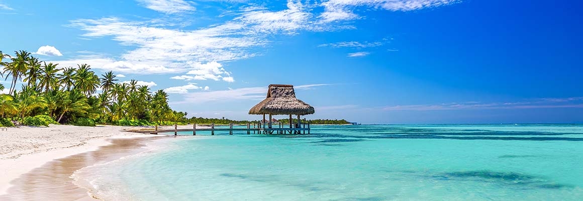 Teaser-Dom. Republik