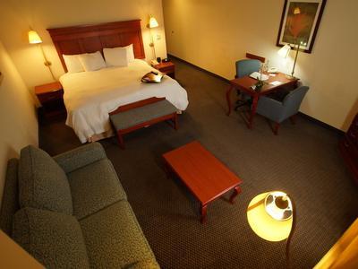 Hotel Hampton Inn by Hilton Tampico Aeropuerto - Bild 2