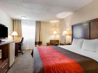 Hotel Comfort Inn & Suites Moreno Valley Near March Air Reserve Base - Bild 5