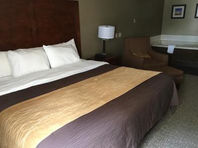 Hotel Quality Inn & Suites Salem Near I-57 - Bild 5
