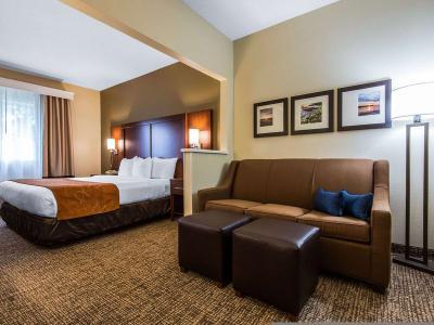Hotel Comfort Suites Rochester - Bild 5
