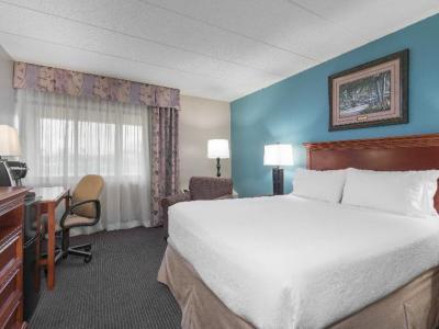 Holiday Inn Hotel & Suites St. Cloud - Bild 5