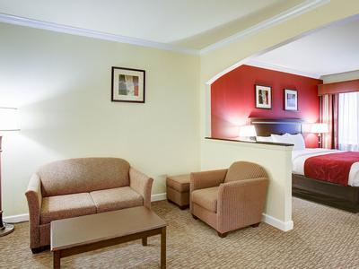 Hotel Comfort Suites Texas Ave. - Bild 5