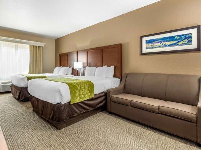 Hotel Comfort Inn & Suites Davenport - Quad Cities - Bild 5