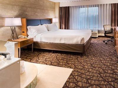 Hotel Holiday Inn & Suites Warren - Bild 5