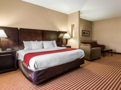 Hotel Comfort Suites Waycross - Bild 5