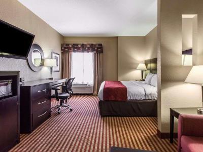 Hotel Comfort Suites Waycross - Bild 4