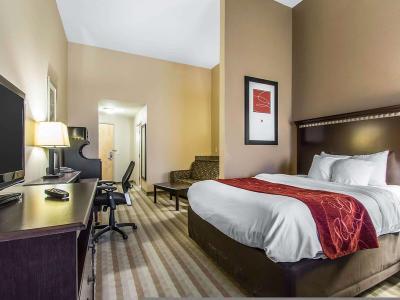 Hotel Comfort Suites Smyrna - Bild 2