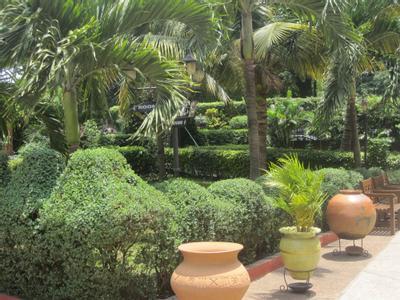 Coconut Grove Regency Hotel - Bild 5