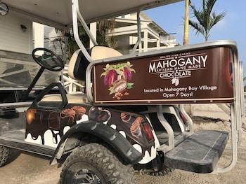 Hotel Mahogany Bay Resort & Beach Club, Curio Collection by Hilton - Bild 5