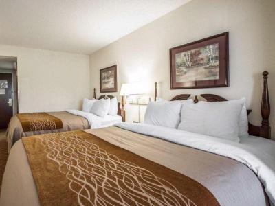 Hotel Comfort Inn & Suites At I-85 - Bild 5