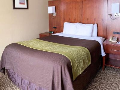 Hotel Comfort Inn & Suites Woods Cross - Salt Lake City North - Bild 3