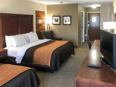 Hotel Comfort Inn & Suites Clemson - University Area - Bild 5