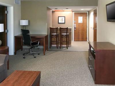 Hotel Comfort Inn & Suites Clemson - University Area - Bild 4