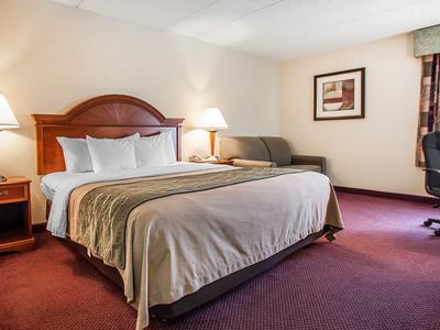 Hotel Comfort Inn Lehigh Valley West - Bild 4