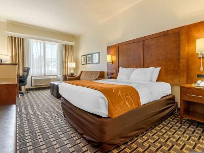 Hotel Comfort Inn Summerville - Charleston - Bild 5