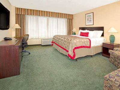 Hotel Four Points by Sheraton Englewood Centennial Airport - Bild 2