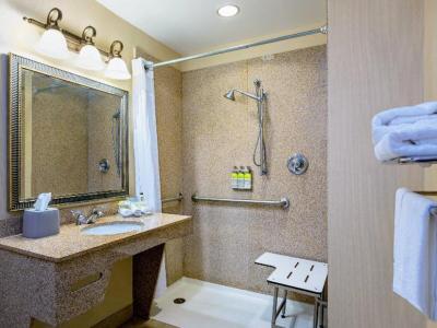 Hotel Holiday Inn Express & Suites Bradenton East-Lakewood Ranch - Bild 5