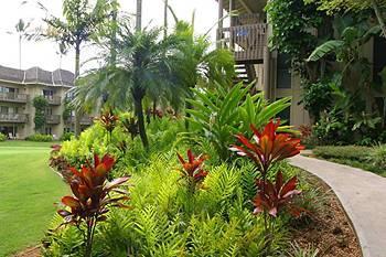Hotel Lae Nani Resort Kauai by Outrigger - Bild 2