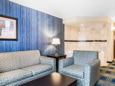 Hotel Comfort Inn & Suites Conference Center - Bild 4