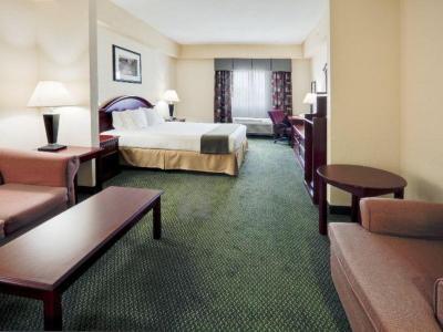 Holiday Inn Express Hotel & Suites West Palm Beach Metrocentre - Bild 4