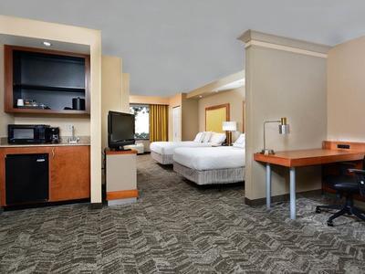 Hotel Springhill Suites Lynchburg - Bild 5