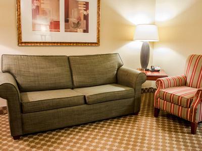 Hotel Comfort Inn & Suites Mobile Near Eastern Shore Centre - Bild 3