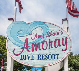 Hotel Amy Slate's Amoray Dive Resort - Bild 3