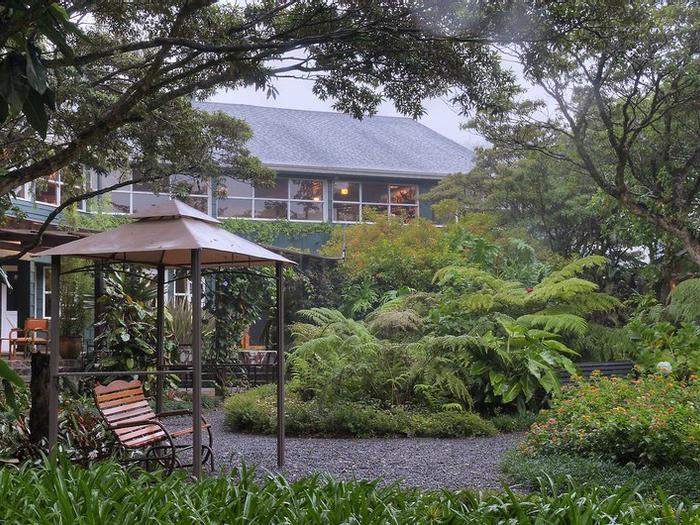 Hotel Monteverde Lodge & Gardens - Bild 1