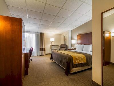 Hotel Comfort Inn & Suites Madison - Airport - Bild 5
