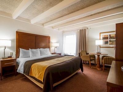 Hotel Comfort Inn & Suites Madison - Airport - Bild 4