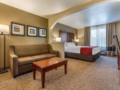 Hotel Comfort Suites Downtown - Bild 4