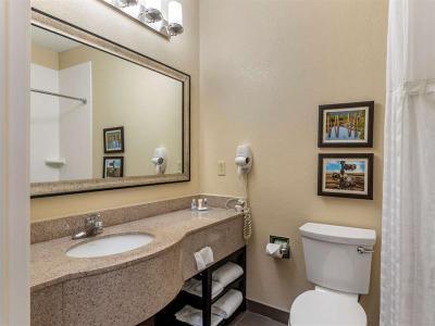 Hotel Comfort Inn & Suites El Dorado - Bild 5