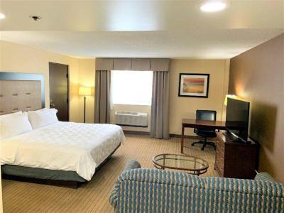 Hotel Holiday Inn & Suites Chicago-Carol Stream (Wheaton) - Bild 4